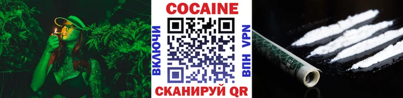 закладка  Светлогорск  КОКАИН Боливия 