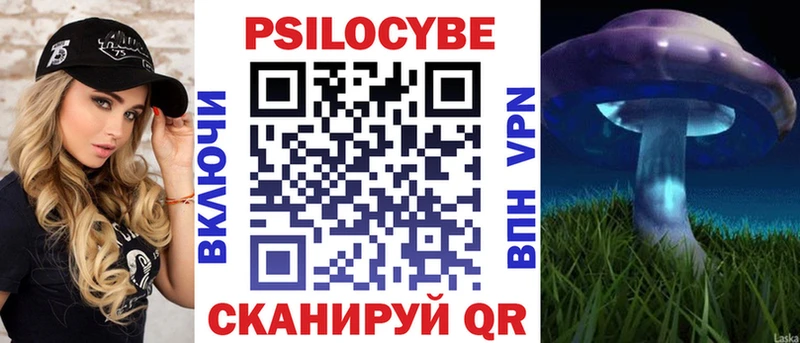 закладка  Светлогорск  Псилоцибиновые грибы прущие грибы 